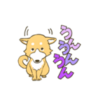 ひとなつっこい柴犬（個別スタンプ：8）