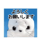 超かわE☆すたんぷ（個別スタンプ：17）