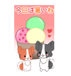 BIG！ちびパピヨン1（個別スタンプ：23）