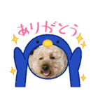 ぷーくん3（個別スタンプ：20）