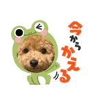 ぷーくん3（個別スタンプ：23）