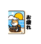 柴犬ライフ1（個別スタンプ：3）