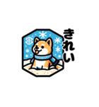 柴犬ライフ1（個別スタンプ：25）