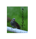なな子語録～素敵な風景を添えて（個別スタンプ：2）