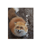 なな子語録～素敵な風景を添えて（個別スタンプ：5）