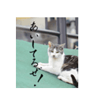 なな子語録～素敵な風景を添えて（個別スタンプ：7）