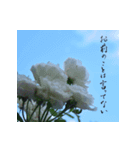 なな子語録～素敵な風景を添えて（個別スタンプ：8）