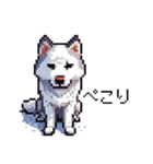 ドット絵 シベリアンハスキー 40種 日常（個別スタンプ：6）