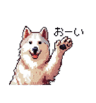 ドット絵 シベリアンハスキー 40種 日常（個別スタンプ：13）