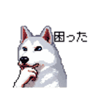 ドット絵 シベリアンハスキー 40種 日常（個別スタンプ：14）