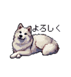 ドット絵 シベリアンハスキー 40種 日常（個別スタンプ：18）