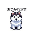 ドット絵 シベリアンハスキー 40種 日常（個別スタンプ：26）