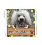 ◎TSBのゆかいな仲間たち◎（個別スタンプ：7）