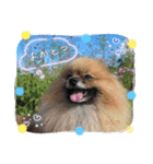◎TSBのゆかいな仲間たち◎（個別スタンプ：14）