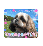◎TSBのゆかいな仲間たち◎（個別スタンプ：15）