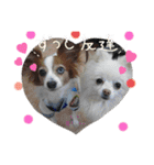 ◎TSBのゆかいな仲間たち◎（個別スタンプ：34）