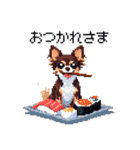 ドット絵 チワワ チョコタン 40種 日常会話（個別スタンプ：12）