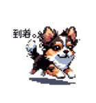 ドット絵 チワワ チョコタン 40種 日常会話（個別スタンプ：29）