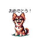 ドット絵 チワワ チョコタン 40種 日常会話（個別スタンプ：32）