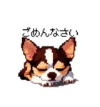 ドット絵 チワワ チョコタン 40種 日常会話（個別スタンプ：36）