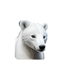 シロクマ polar bear（個別スタンプ：1）