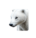 シロクマ polar bear（個別スタンプ：2）