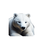 シロクマ polar bear（個別スタンプ：3）