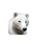 シロクマ polar bear（個別スタンプ：6）