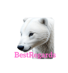 シロクマ polar bear（個別スタンプ：12）