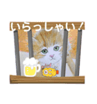 おおさかねこちゃん16（個別スタンプ：8）