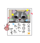 おおさかねこちゃん16（個別スタンプ：18）