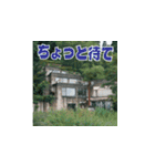 廃墟が伝えるメッセージ（個別スタンプ：38）