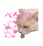 2023の思ひ出（個別スタンプ：14）