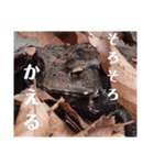 2023の思ひ出（個別スタンプ：18）