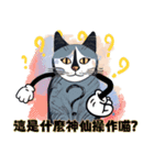 不思議な猫の物語！（個別スタンプ：1）