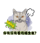 不思議な猫の物語！（個別スタンプ：7）