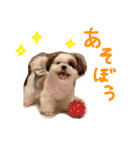 SAM-01（個別スタンプ：2）