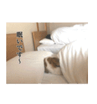 SAM-01（個別スタンプ：13）