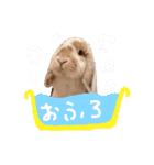 SAM-01（個別スタンプ：17）