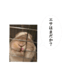 SAM-01（個別スタンプ：18）