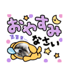 ◎めろんちゃん◎（個別スタンプ：4）