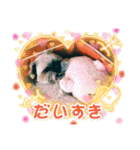 ◎めろんちゃん◎（個別スタンプ：14）