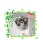 ◎めろんちゃん◎（個別スタンプ：15）