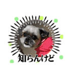 ◎めろんちゃん◎（個別スタンプ：20）