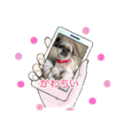 ◎めろんちゃん◎（個別スタンプ：24）