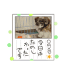 ◎めろんちゃん◎（個別スタンプ：25）