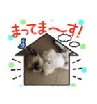 ◎めろんちゃん◎（個別スタンプ：26）