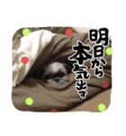 ◎めろんちゃん◎（個別スタンプ：28）