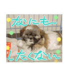 ◎めろんちゃん◎（個別スタンプ：29）