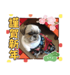 ◎めろんちゃん◎（個別スタンプ：31）